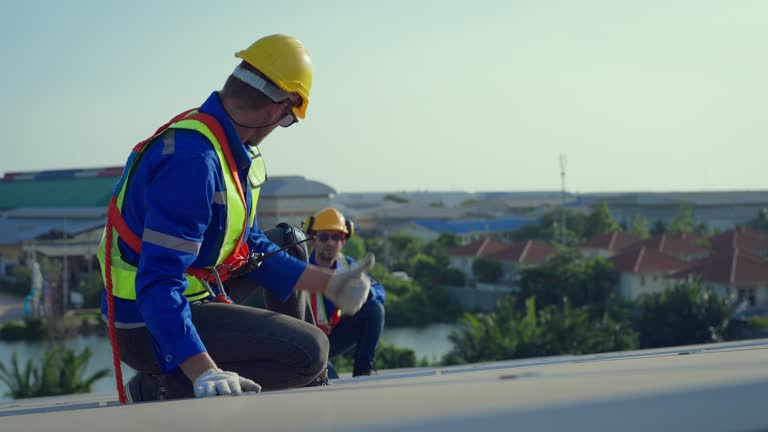 Best Roof Moss and Algae Removal  in Olmos Park, TX