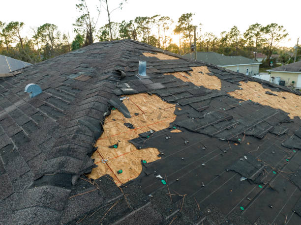 Best Roof Ventilation Installation  in Olmos Park, TX